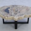 Table basse bois pétrifié 45213