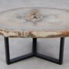 Table basse bois pétrifié 53178