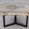 Table basse bois pétrifié 53179
