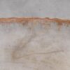 Table basse bois pétrifié 53179