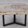 Table basse bois pétrifié 53183