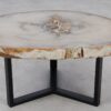 Table basse bois pétrifié 53184