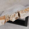 Table basse bois pétrifié 53184