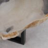 Table basse bois pétrifié 53186