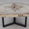 Table basse bois pétrifié 53187