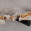 Table basse bois pétrifié 53187