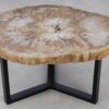Table basse bois pétrifié 53191