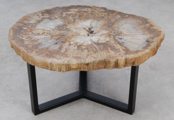 Table basse bois pétrifié 53191