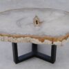 Table basse bois pétrifié 53213