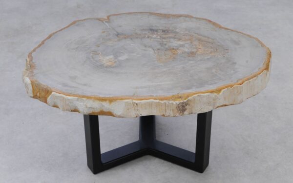 Table basse bois pétrifié 53217