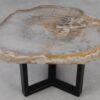 Table basse bois pétrifié 53233