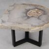 Table basse bois pétrifié 53236