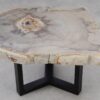 Table basse bois pétrifié 53237