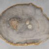 Table basse bois pétrifié 53253