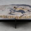 Table basse bois pétrifié 53282