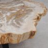 Table basse bois pétrifié 53283