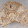 Table basse bois pétrifié 53284
