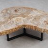 Table basse bois pétrifié 53284