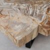Table basse bois pétrifié 53291