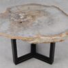 Table basse bois pétrifié 53334