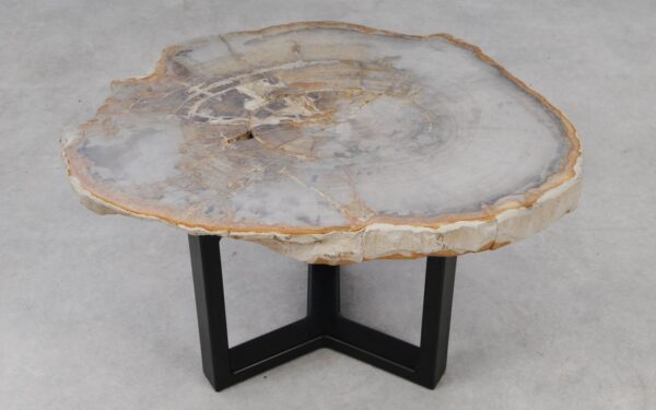 Table basse bois pétrifié 53334