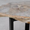 Table basse bois pétrifié 53334
