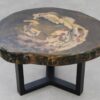 Table basse bois pétrifié 53342