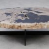 Table basse bois pétrifié 53461