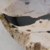 Table basse bois pétrifié 53461