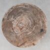 Table basse bois pétrifié 53472
