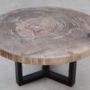 Table basse bois pétrifié 53472