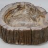 Waschbecke versteinertes Holz 53395