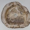 Waschbecke versteinertes Holz 53395
