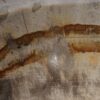 Waschbecke versteinertes Holz 53395