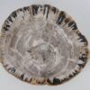 Waschbecke versteinertes Holz 53397