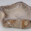 Waschbecke versteinertes Holz 53406