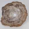 Waschbecke versteinertes Holz 53416