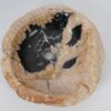 Wash hand basin petrified wood 53396