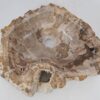 Wash hand basin petrified wood 53412