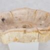 Wastafel versteend hout 43396