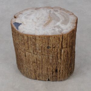 Beistelltisch versteinertes Holz 53011