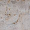 Beistelltisch versteinertes Holz 53011
