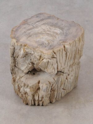 Beistelltisch versteinertes Holz 53024