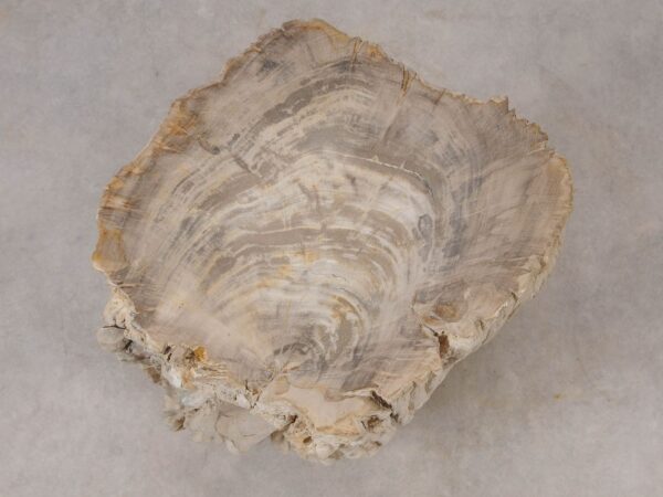 Beistelltisch versteinertes Holz 53024