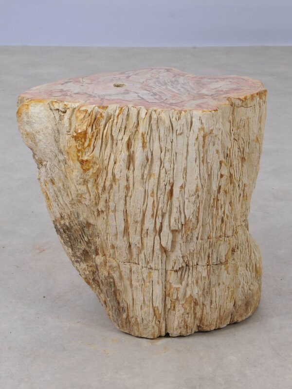 Beistelltisch versteinertes Holz 53041