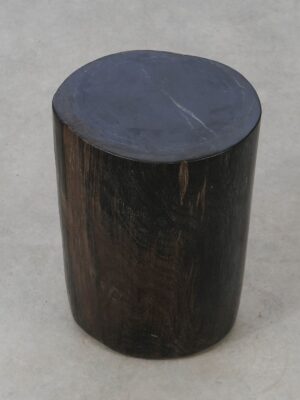 Bijzettafel versteend hout 53001