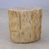 Bijzettafel versteend hout 53020