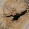 Bijzettafel versteend hout 53022