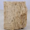 Bijzettafel versteend hout 53034