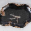Bord versteend hout 53073